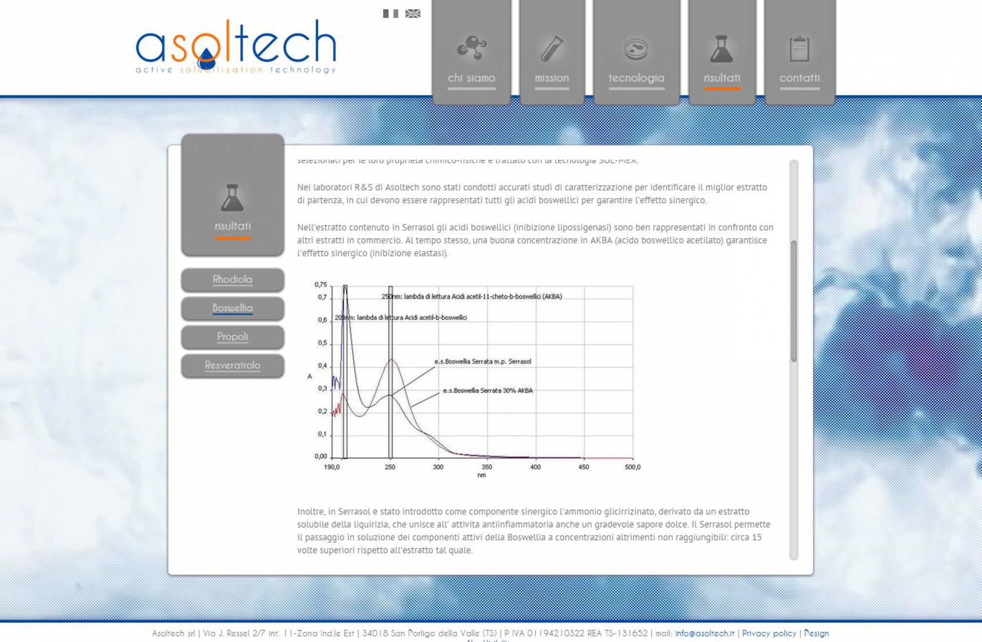 Risultati sito internet Asoltech NewVisibility