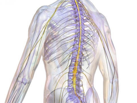 Immagine Greta Molinari