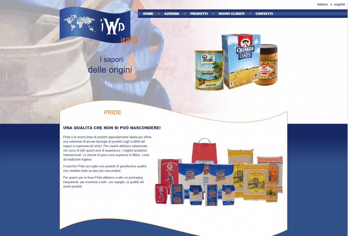 Immagine sito responsive IWD Italy NewVisibility design web agency