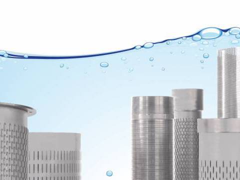 Sfondo immagine Paparelli NewVisibility