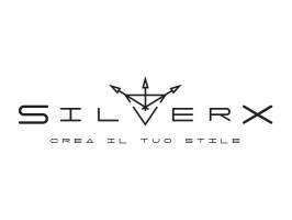 creazione logo SilverX webagency di Como