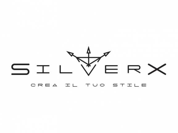 creazione logo SilverX webagency di Como