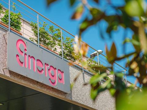 Sinerga
