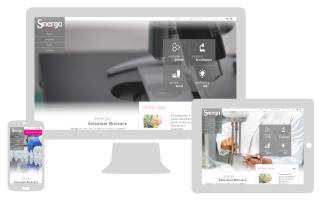 Sito internet responsive sinerga newvisibility