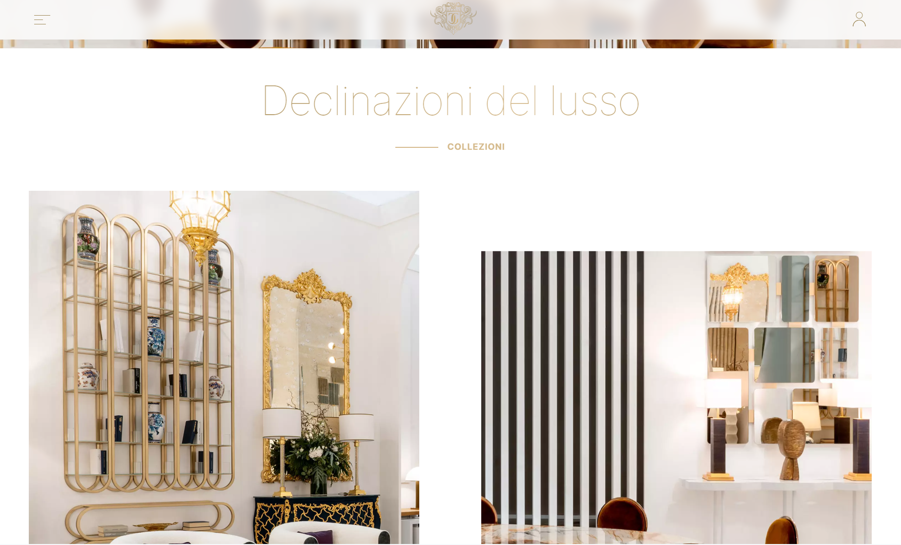 newvisibility-cg-capelletti-sviluppo-sito-web-10.png